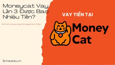 Moneycat Vay Lần 3 Được Bao Nhiêu Tiền?