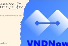 vndnow lừa đảo