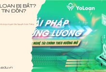 yoloan bị bắt